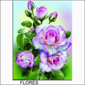 QUADRO PAINEL ADESIVO LAMINADO