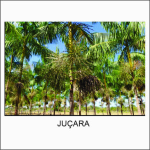 QUADRO PAINEL ADESIVO