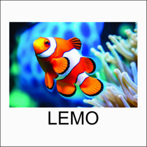 QUADRO DECORATIVO PAINEL