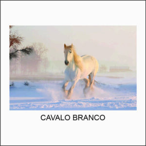 QUADRO DECORATIVO PAINEL