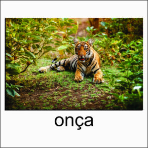 QUADRO PAINEL ADESIVO