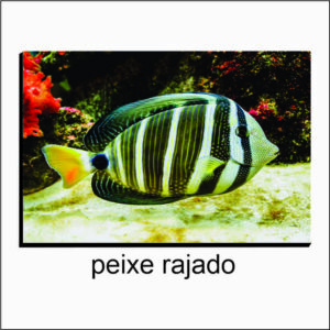 QUADRO DECORATIVO PAINEL