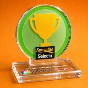 Trofeu acrilico placa 8mm base 10mm tamanho 17cm = 120,00  destaque