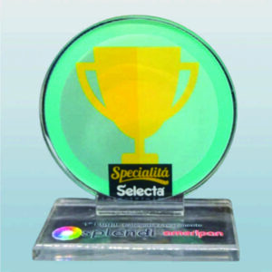 Trofeu acrilico placa 8mm base 10mm tamanho 17cm = 120,00  destaque