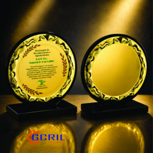TROFEUS PARA HOMENAGEM