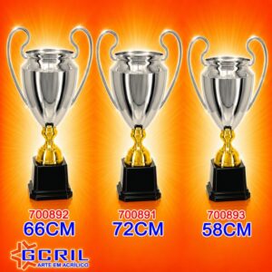 Troféu metálico 1071