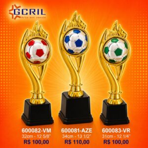 Troféu metálico 429